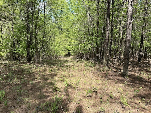 250 Bear Trace Dr, Jasper, TN 37347