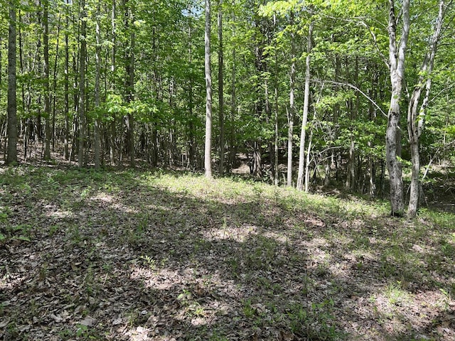 250 Bear Trace Dr, Jasper, TN 37347