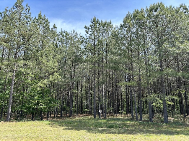 250 Bear Trace Dr, Jasper, TN 37347