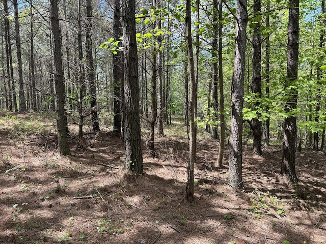 250 Bear Trace Dr, Jasper, TN 37347
