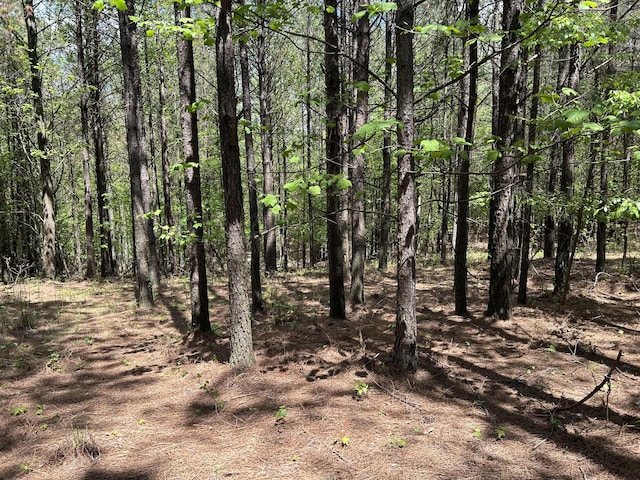 250 Bear Trace Dr, Jasper, TN 37347
