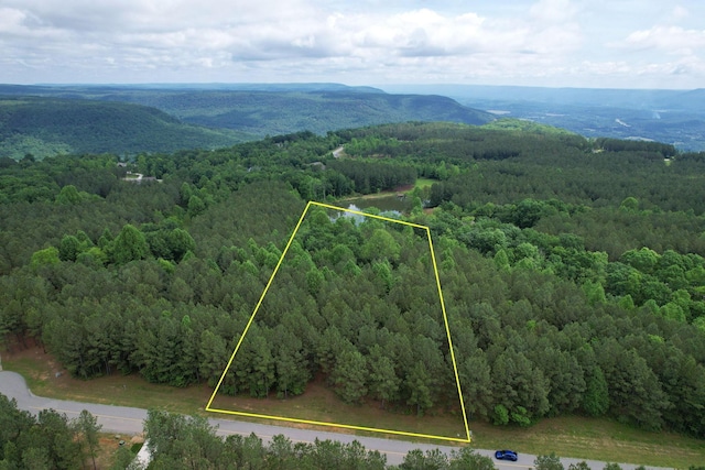 250 Bear Trace Dr, Jasper, TN 37347