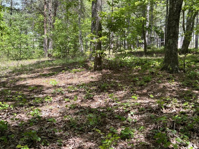 225 Prospectors Way, Jasper, TN 37347