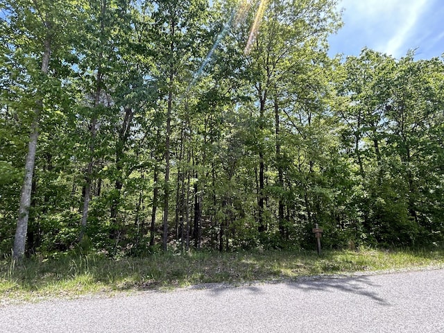 225 Prospectors Way, Jasper, TN 37347