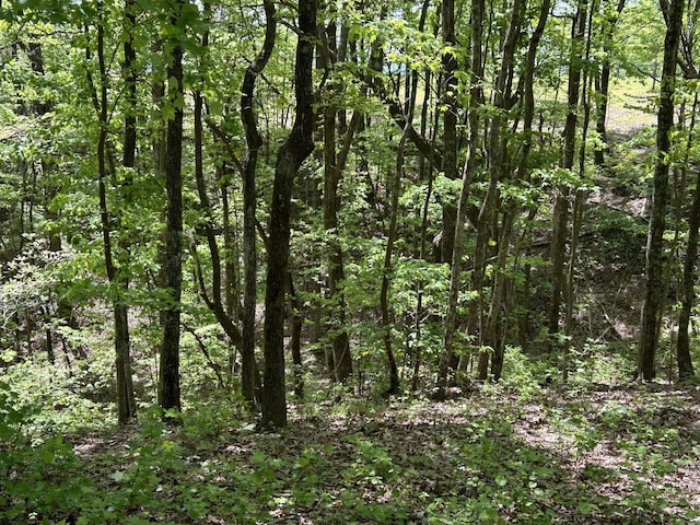 225 Prospectors Way, Jasper, TN 37347