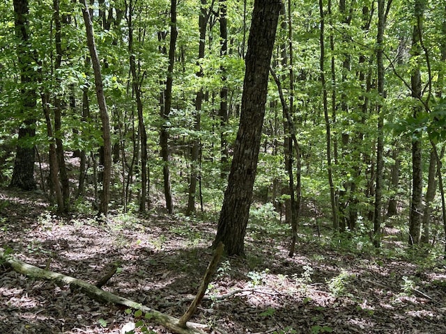 225 Prospectors Way, Jasper, TN 37347