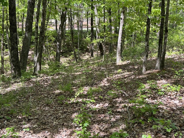 225 Prospectors Way, Jasper, TN 37347