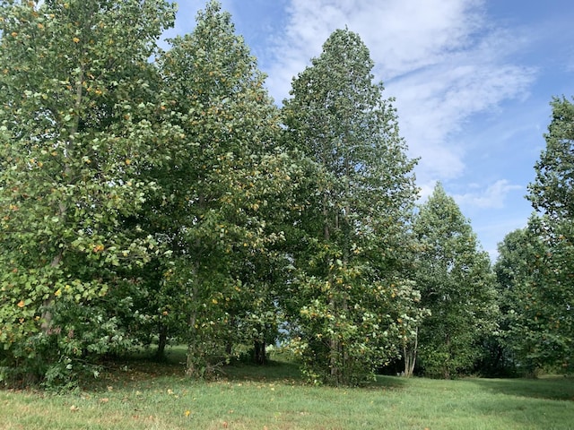 755 Sunset Cir, Jasper, TN 37347