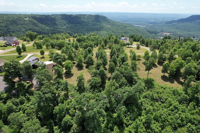 755 Sunset Cir, Jasper, TN 37347