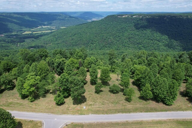 725 Sunset Cir, Jasper, TN 37347