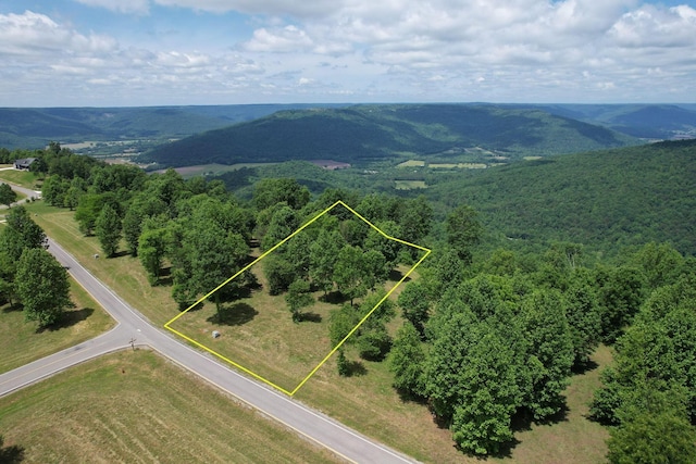 725 Sunset Cir, Jasper, TN 37347