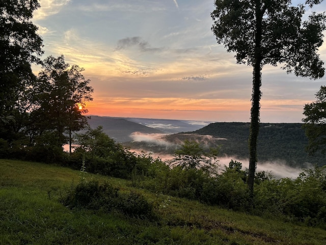 725 Sunset Cir, Jasper, TN 37347