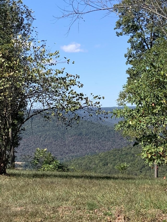 725 Sunset Cir, Jasper, TN 37347