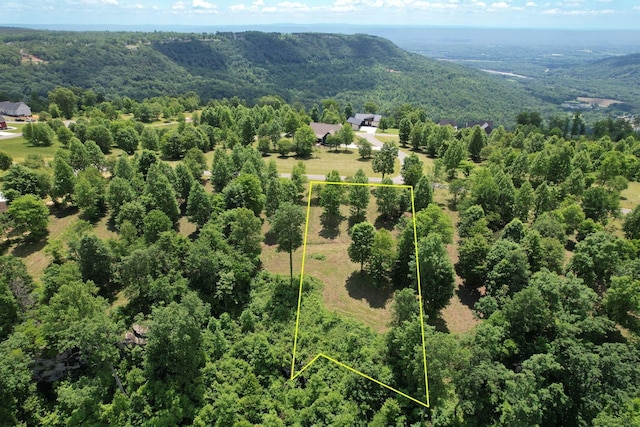 725 Sunset Cir, Jasper, TN 37347
