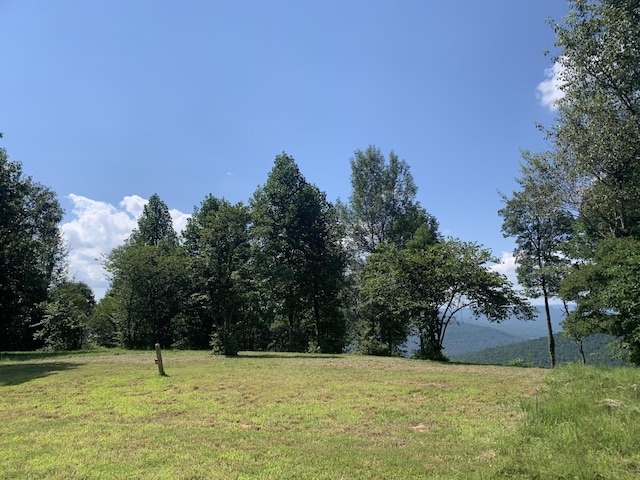 725 Sunset Cir, Jasper, TN 37347