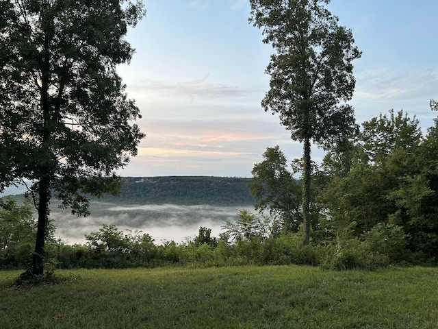 725 Sunset Cir, Jasper, TN 37347