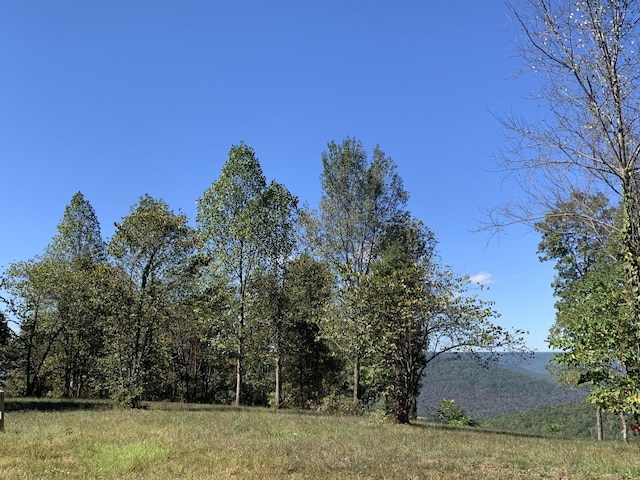 725 Sunset Cir, Jasper, TN 37347