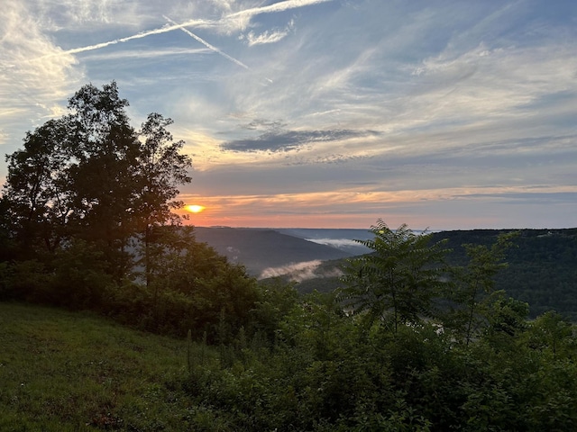 725 Sunset Cir, Jasper, TN 37347