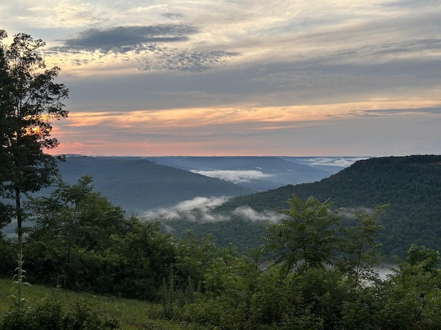 725 Sunset Cir, Jasper, TN 37347