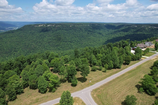 725 Sunset Cir, Jasper, TN 37347