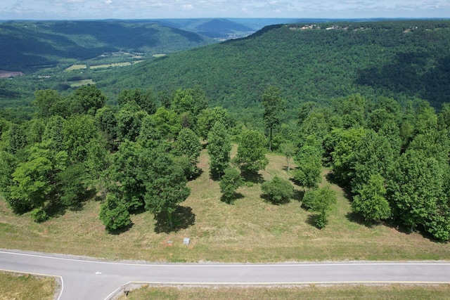 725 Sunset Cir, Jasper, TN 37347