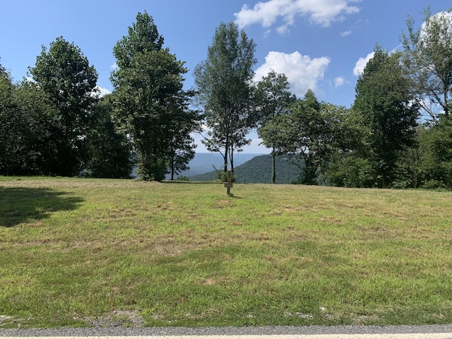 725 Sunset Cir, Jasper, TN 37347