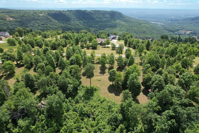 725 Sunset Cir, Jasper, TN 37347