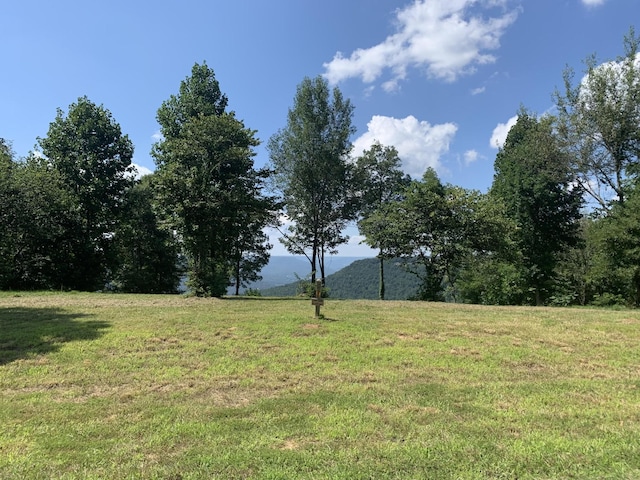 725 Sunset Cir, Jasper, TN 37347