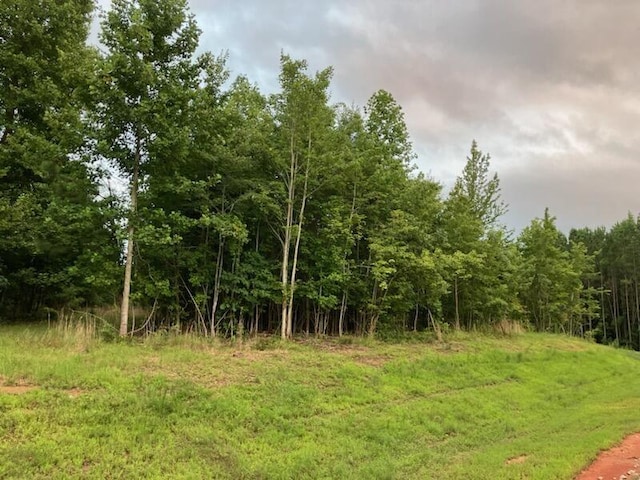 174 Volunteer St, Jasper, TN 37347
