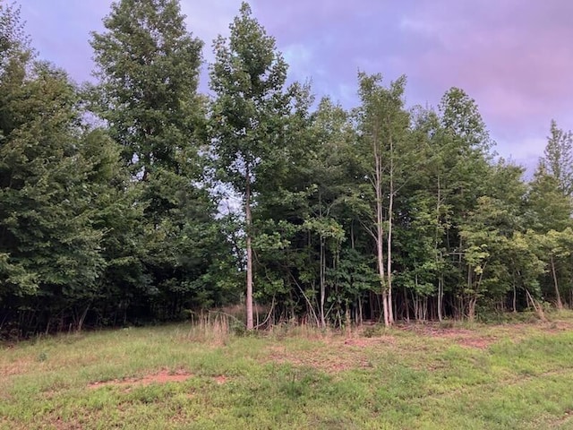 174 Volunteer St, Jasper, TN 37347