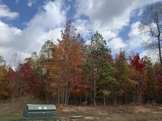 174 Volunteer St, Jasper, TN 37347
