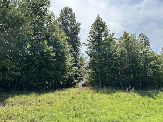 174 Volunteer St, Jasper, TN 37347