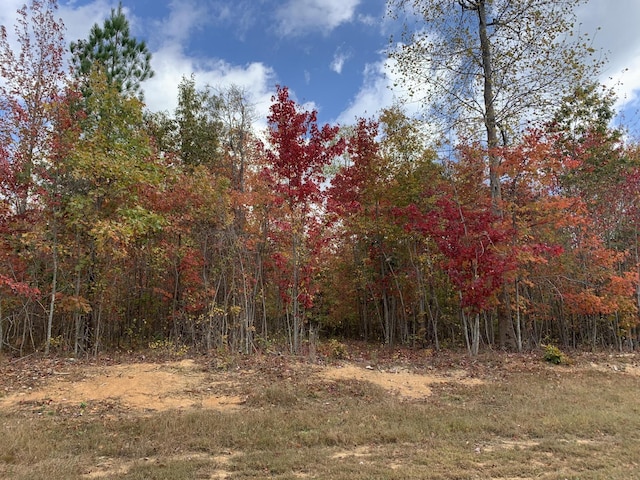 174 Volunteer St, Jasper, TN 37347