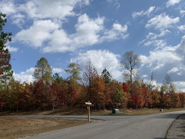 174 Volunteer St, Jasper, TN 37347