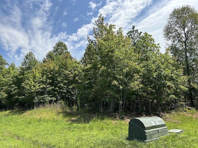 174 Volunteer St, Jasper, TN 37347