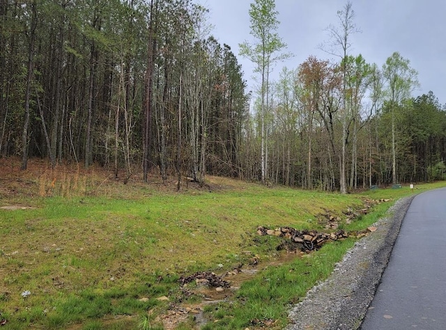 4910 Raulston Falls Rd, Jasper, TN 37347