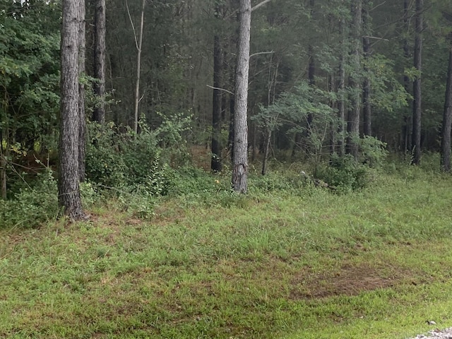 4910 Raulston Falls Rd, Jasper, TN 37347