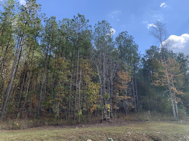 4910 Raulston Falls Rd, Jasper, TN 37347