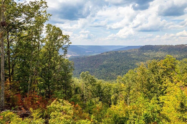 300 Deer Run Dr, Jasper, TN 37347 - photo 17