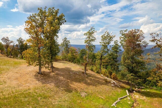 300 Deer Run Dr, Jasper, TN 37347 - photo 9