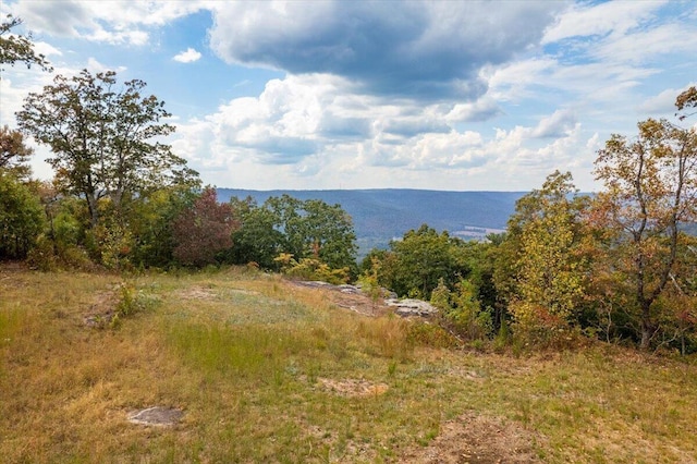 300 Deer Run Dr, Jasper, TN 37347 - photo 11
