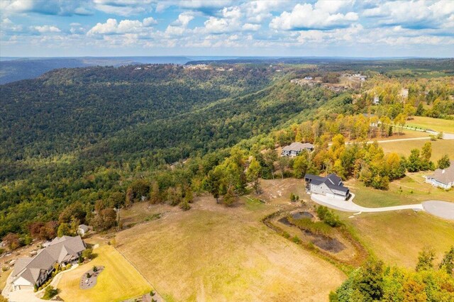 300 Deer Run Dr, Jasper, TN 37347 - photo 15