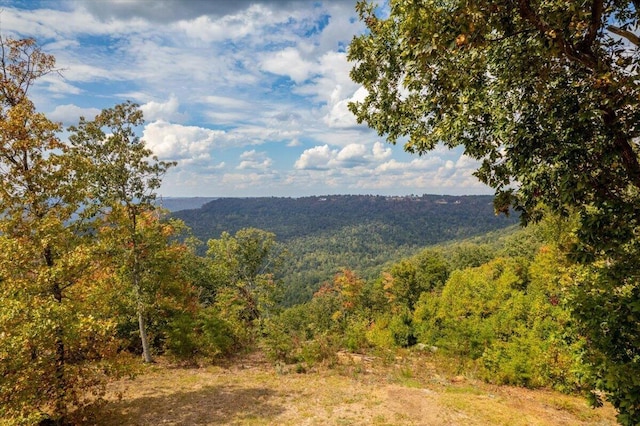 300 Deer Run Dr, Jasper, TN 37347 - photo 6