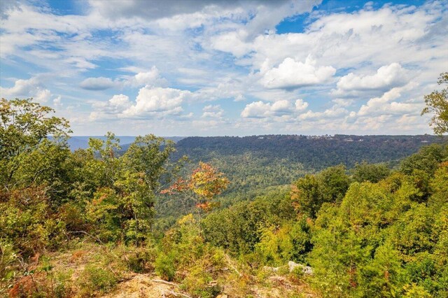 300 Deer Run Dr, Jasper, TN 37347 - photo 8