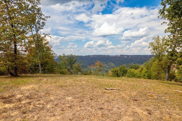 300 Deer Run Dr, Jasper, TN 37347 - photo 3