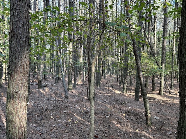 2035 Crockett Pt, Jasper, TN 37347