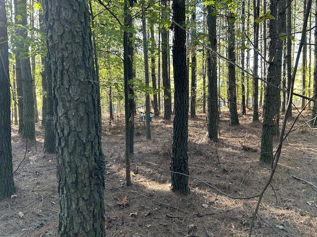2035 Crockett Pt, Jasper, TN 37347