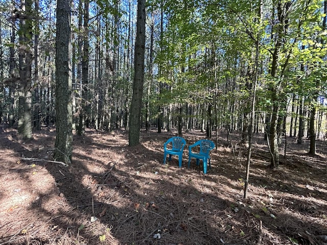 2035 Crockett Pt, Jasper, TN 37347