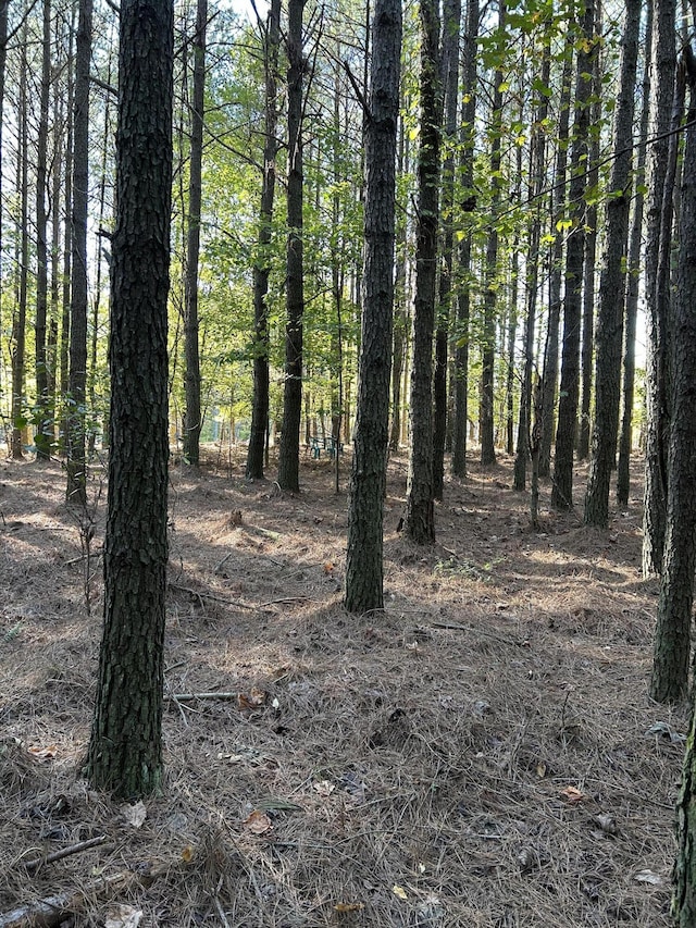 2035 Crockett Pt, Jasper, TN 37347