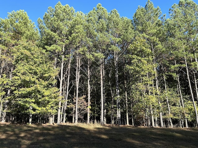 2035 Crockett Pt, Jasper, TN 37347
